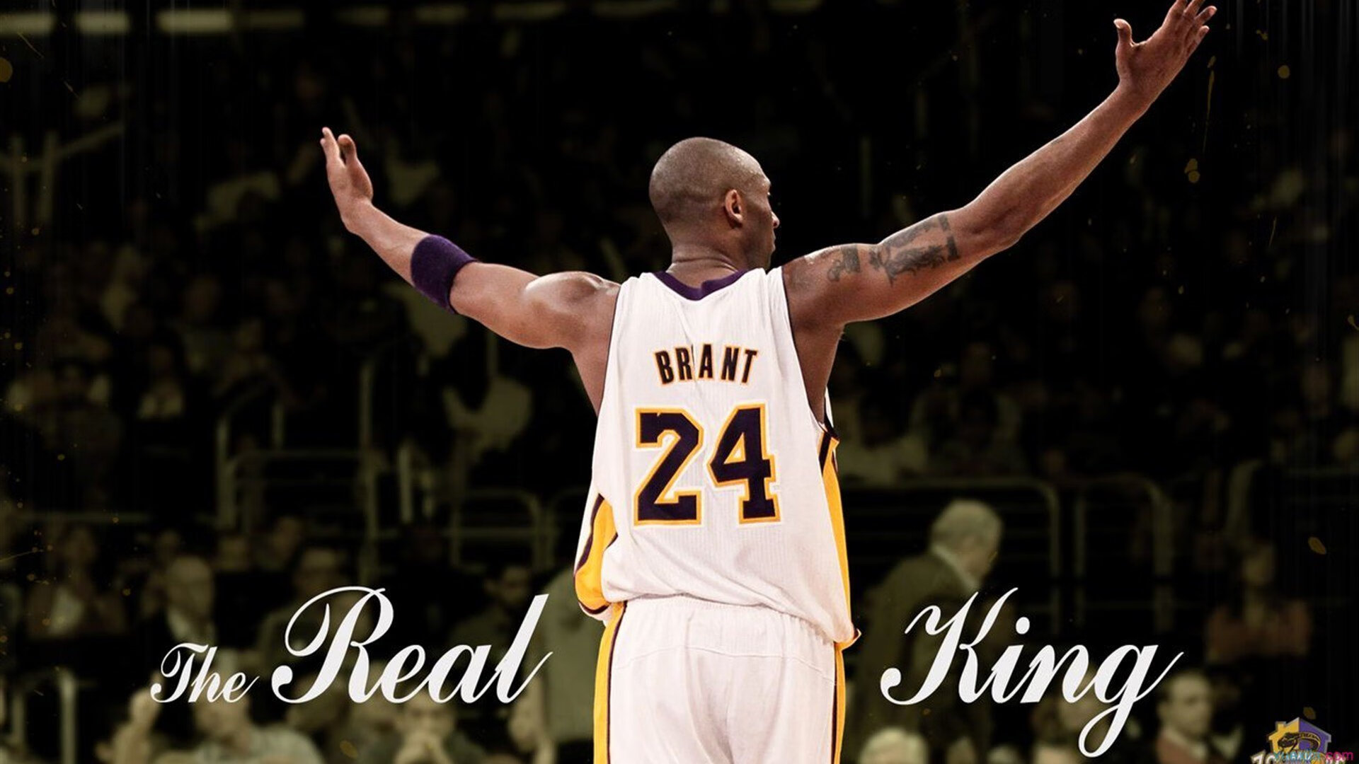 世界排名争夺战之夜，迪亚斯关键制胜